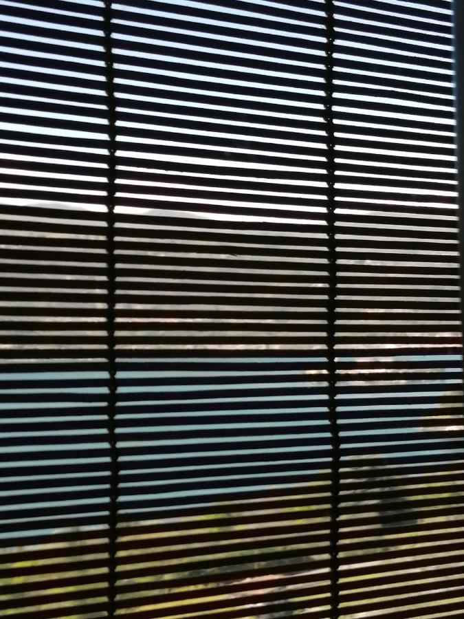 Terrazza Sul Lago Ameno Bagian luar foto