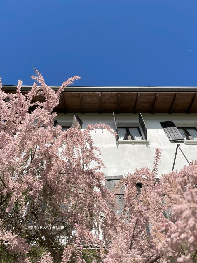 Terrazza Sul Lago Ameno Bagian luar foto