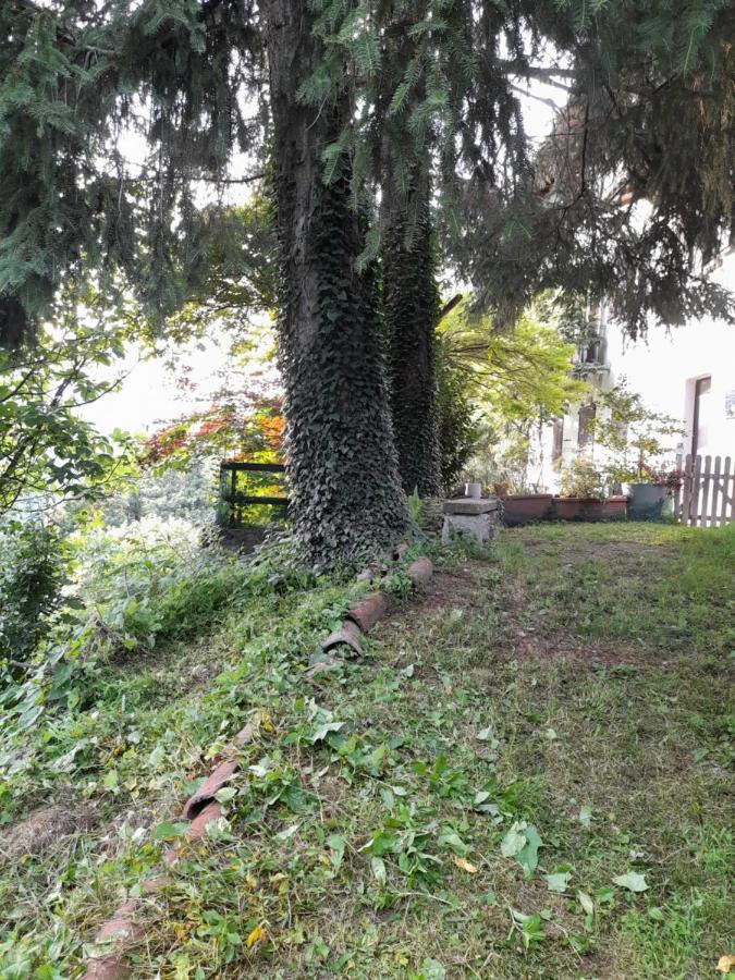 Terrazza Sul Lago Ameno Bagian luar foto